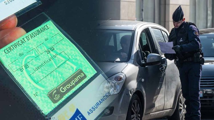 Adieu la carte verte ! Comment LéoBot transforme l’assurance automobile en 2025 ?