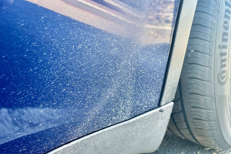 Tesla en Difficulté : Un Procès Étonnant au Canada à Cause de Problèmes de Peinture !