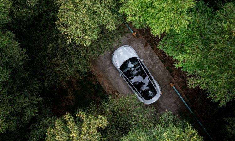 Tesla : Les attentes surprenantes de Wall Street pour les bénéfices du deuxième trimestre 2025 !