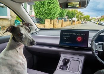 Leapmotor s’inspire d’une astuce canine de Tesla et ça va vous étonner !