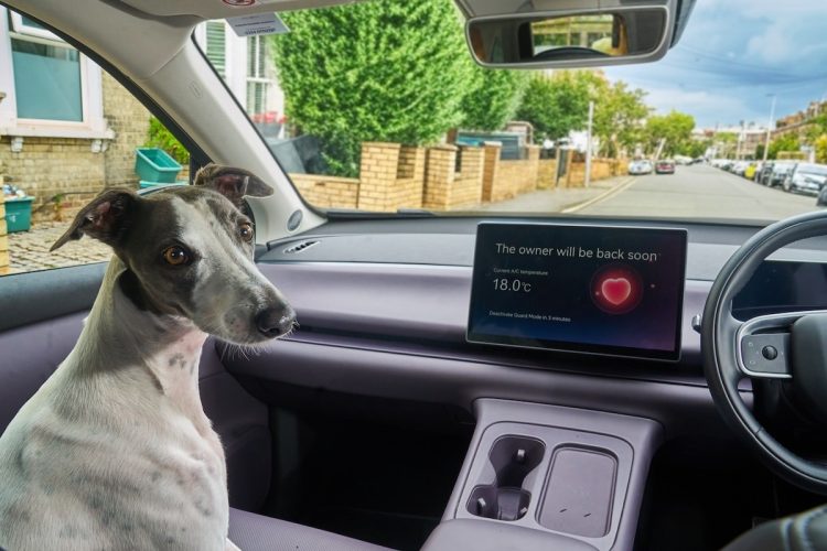 Leapmotor s’inspire d’une astuce canine de Tesla et ça va vous étonner !