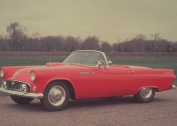 Le choc incroyable : un oiseau de tonnerre face à la Corvette, il y a 70 ans !