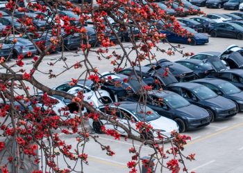 Tesla en Chine : un mois de ventes en gros surprenant qui va tout changer !