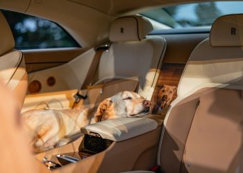 La Rolls-Royce qui fait Ouaf-Ouaf : un mystère choquant qui divise !