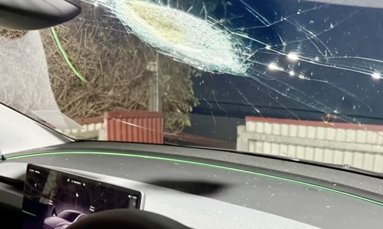 Une Tesla Model Y en FSD sauve un couple face à un roi des situations extrêmes !