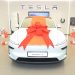 Tesla est toujours en quête de la prise idéale en Inde : un défi qui pourrait tout changer !