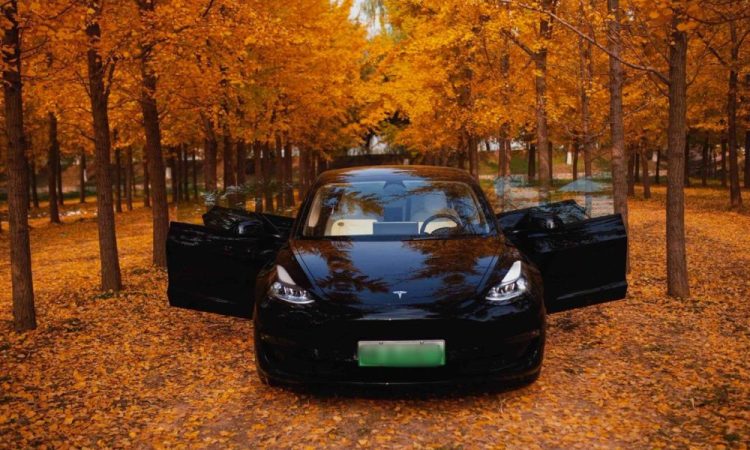 La Tesla Model 3 s’impose comme la voiture électrique d’occasion la plus convoitée aux Pays-Bas en 2025 !